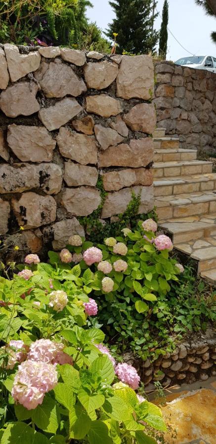Holiday home Kuca Za Odmor Jelena