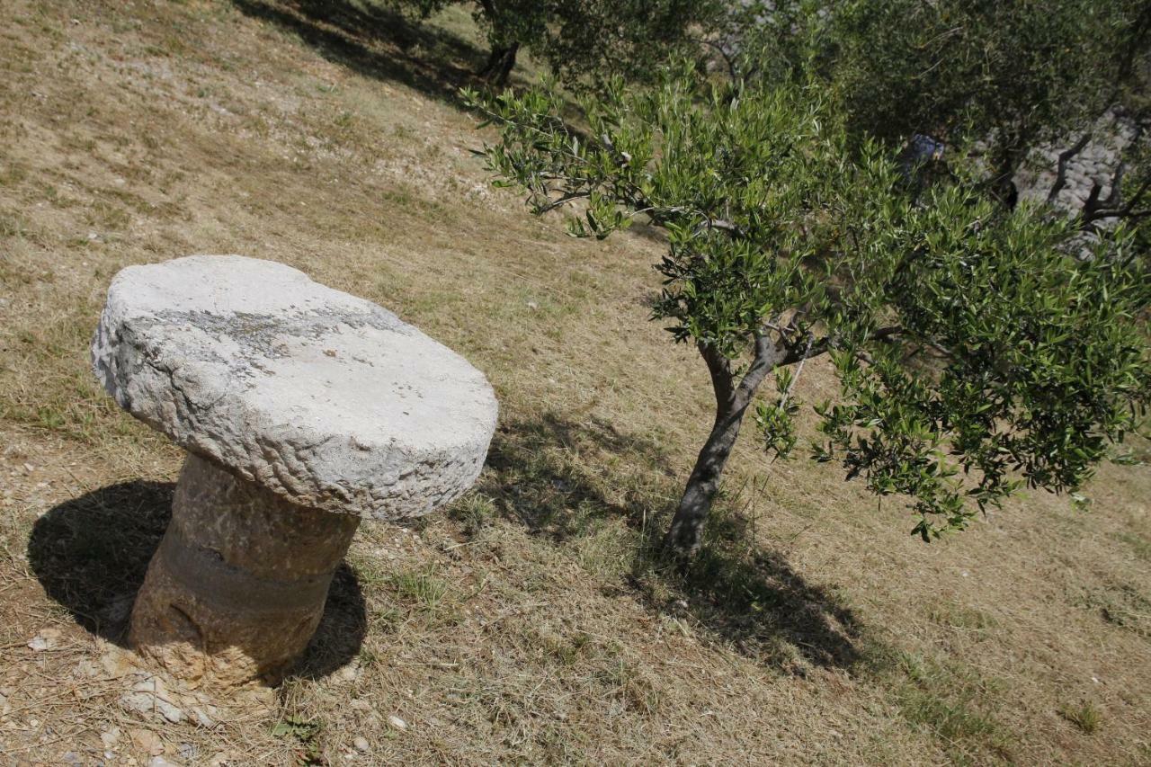 Holiday home Kuca Za Odmor Jelena *